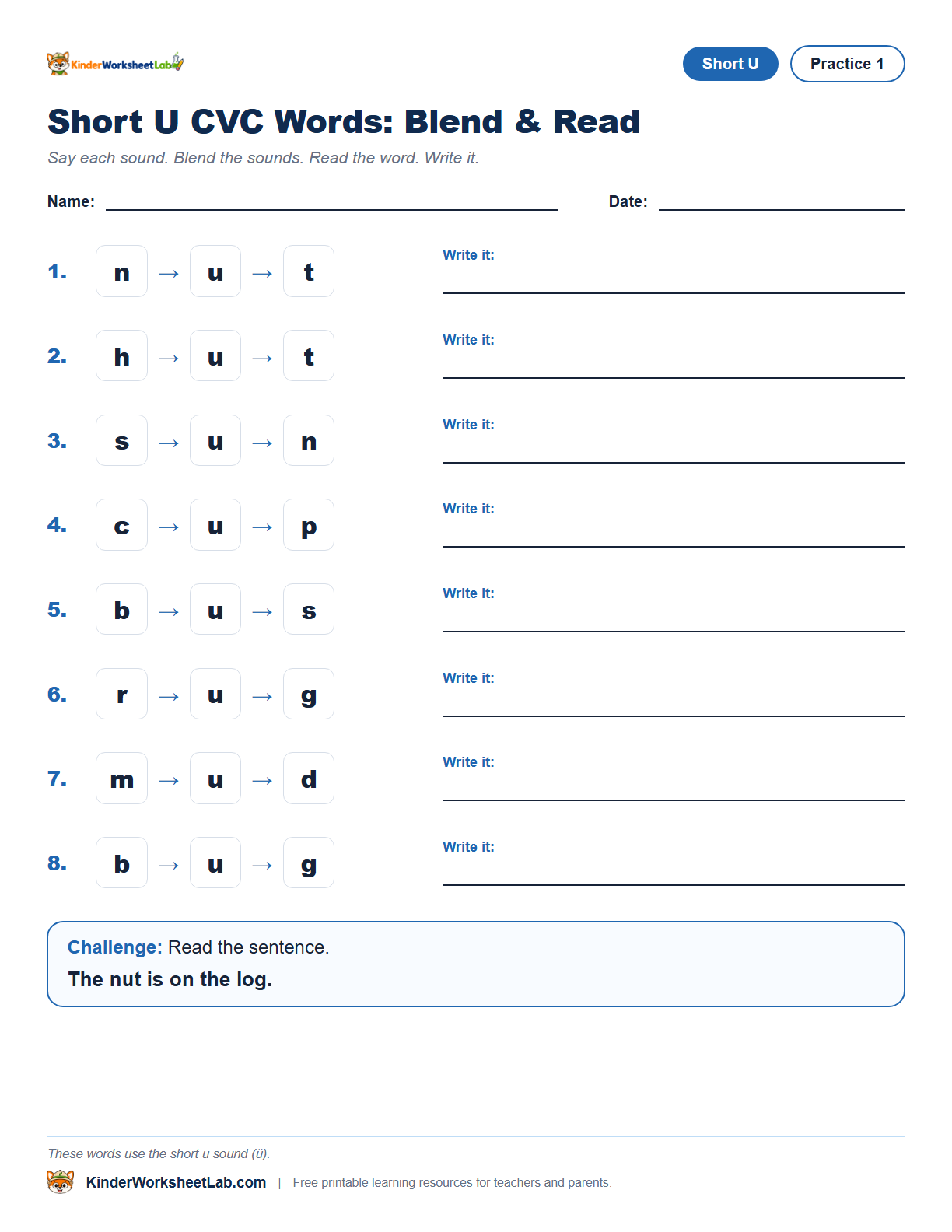 Nut CVC worksheet preview