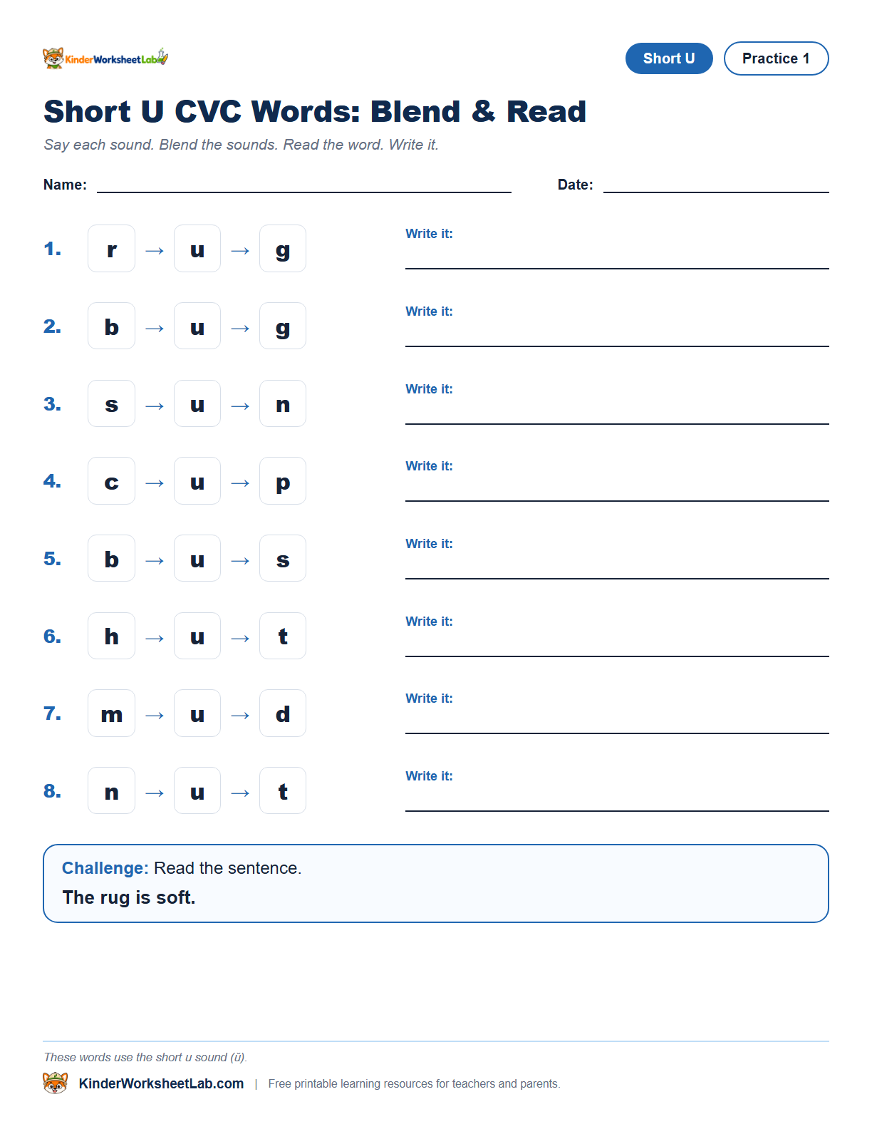 Missing Letters — Rug CVC Worksheet worksheet preview